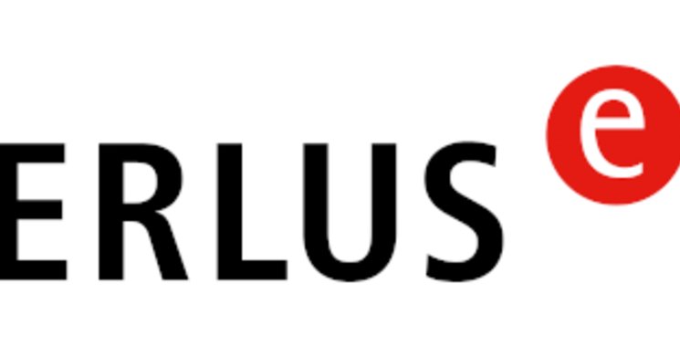 Logo, Erlus