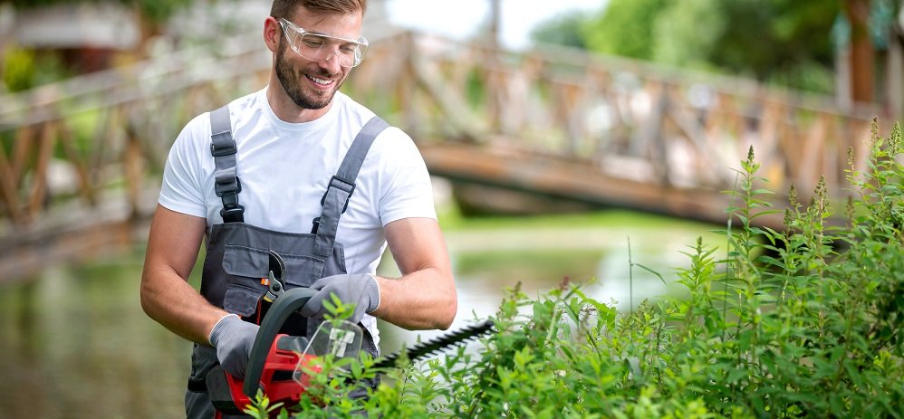 hecke richtig schneiden